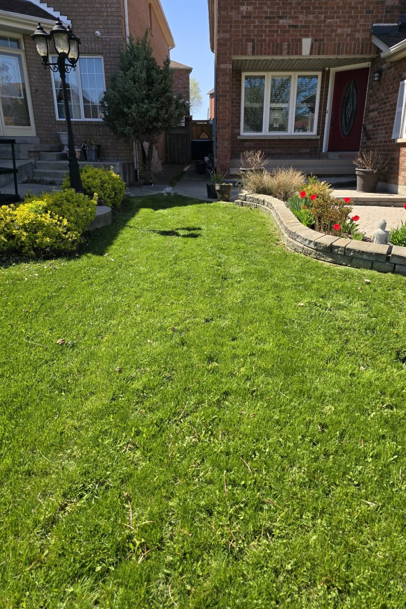 Resized_20250509_152202