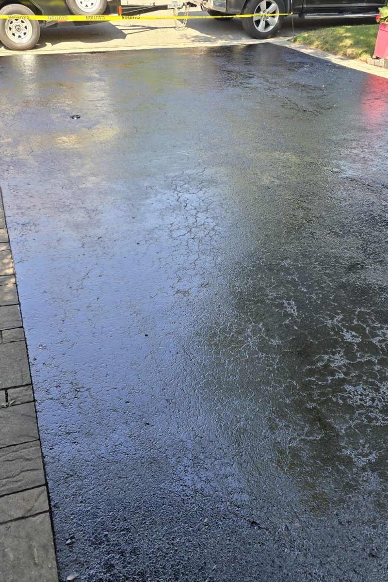 WhatsApp Image 2025-06-07 at 18.05.27_32f086fd