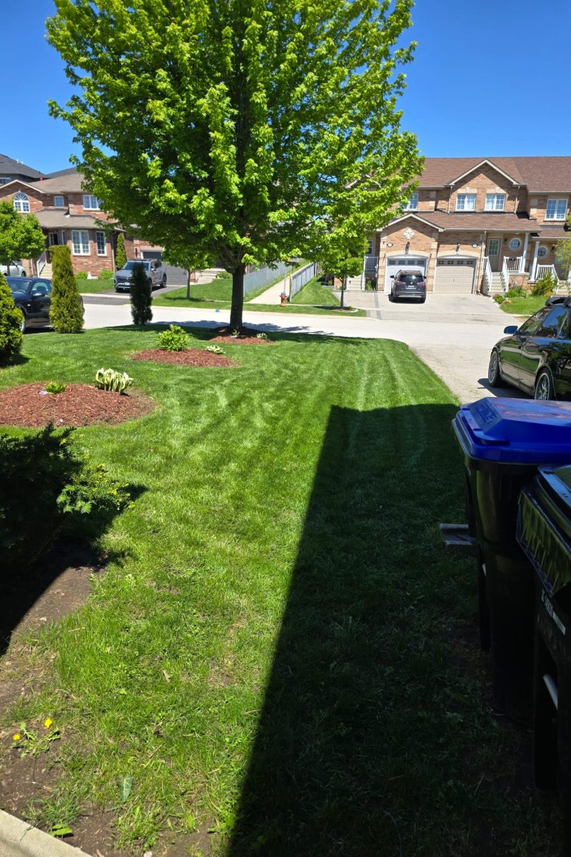 WhatsApp Image 2025-06-07 at 18.05.29_ef21dcb9